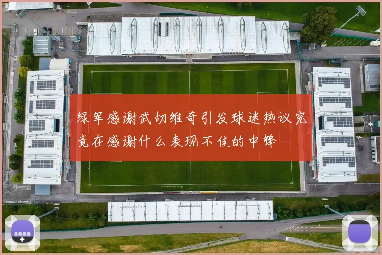 绿军感谢武切维奇引发球迷热议究竟在感谢什么表现不佳的中锋